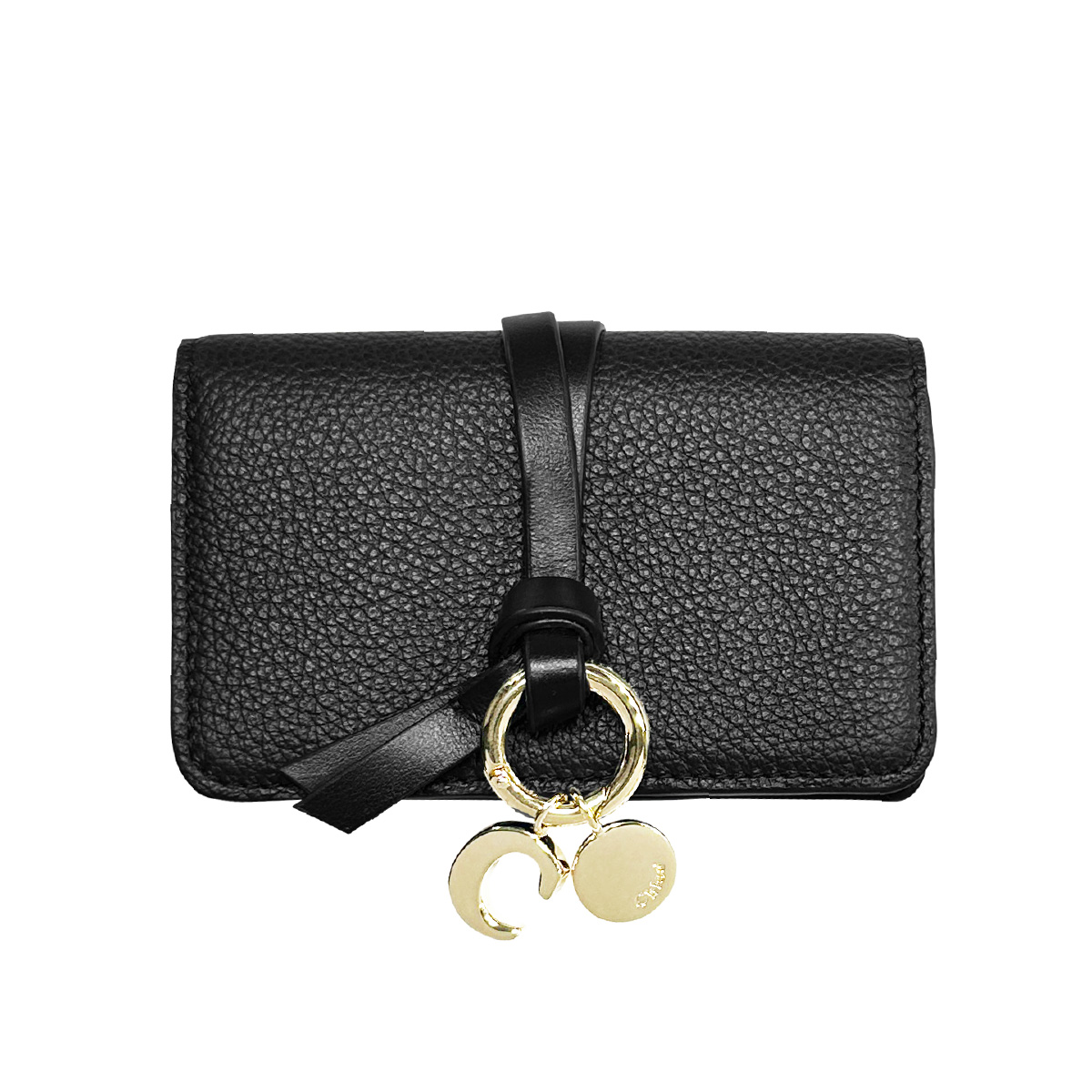 CHLOE CARD CASE CHC21WP015 F57 001